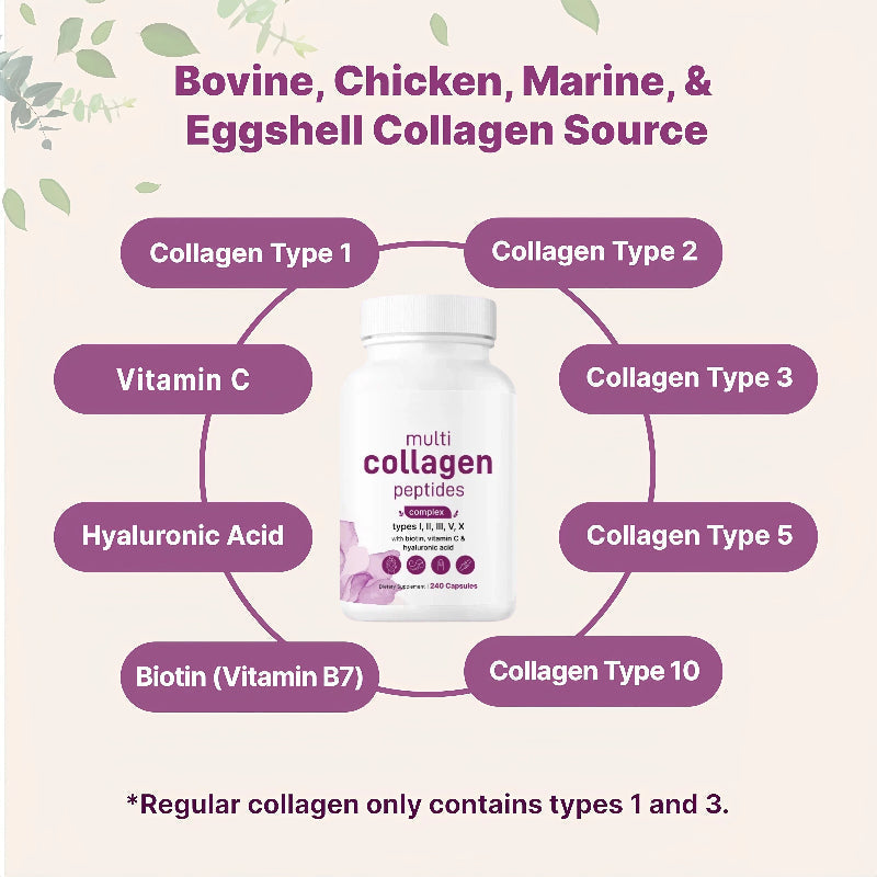 Multi Collagen Pills for Women & Men, 240 Capsules | Type I, II, III, V, X | Non-GMO, Filler Free