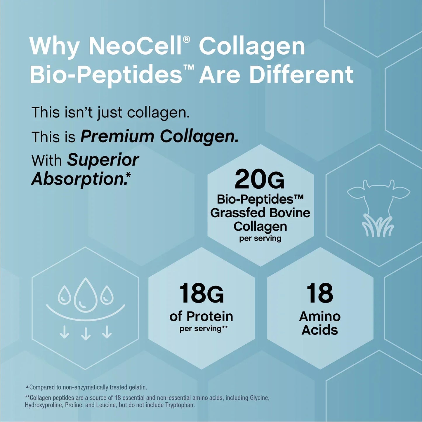Collagen Bio-Peptides Powder 20oz Grassfed Collagen Protein