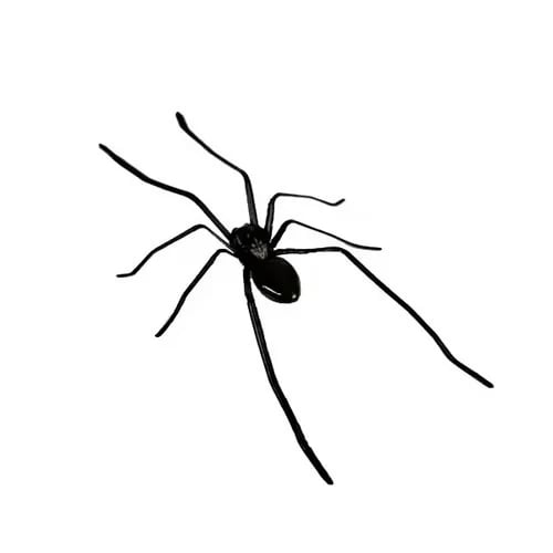 🏆New Year Sale 49% OFF🕷Spider Fridge Magnet 🎁Realistic Spider Magnets, for Refrigerator, Garage Door, or Car