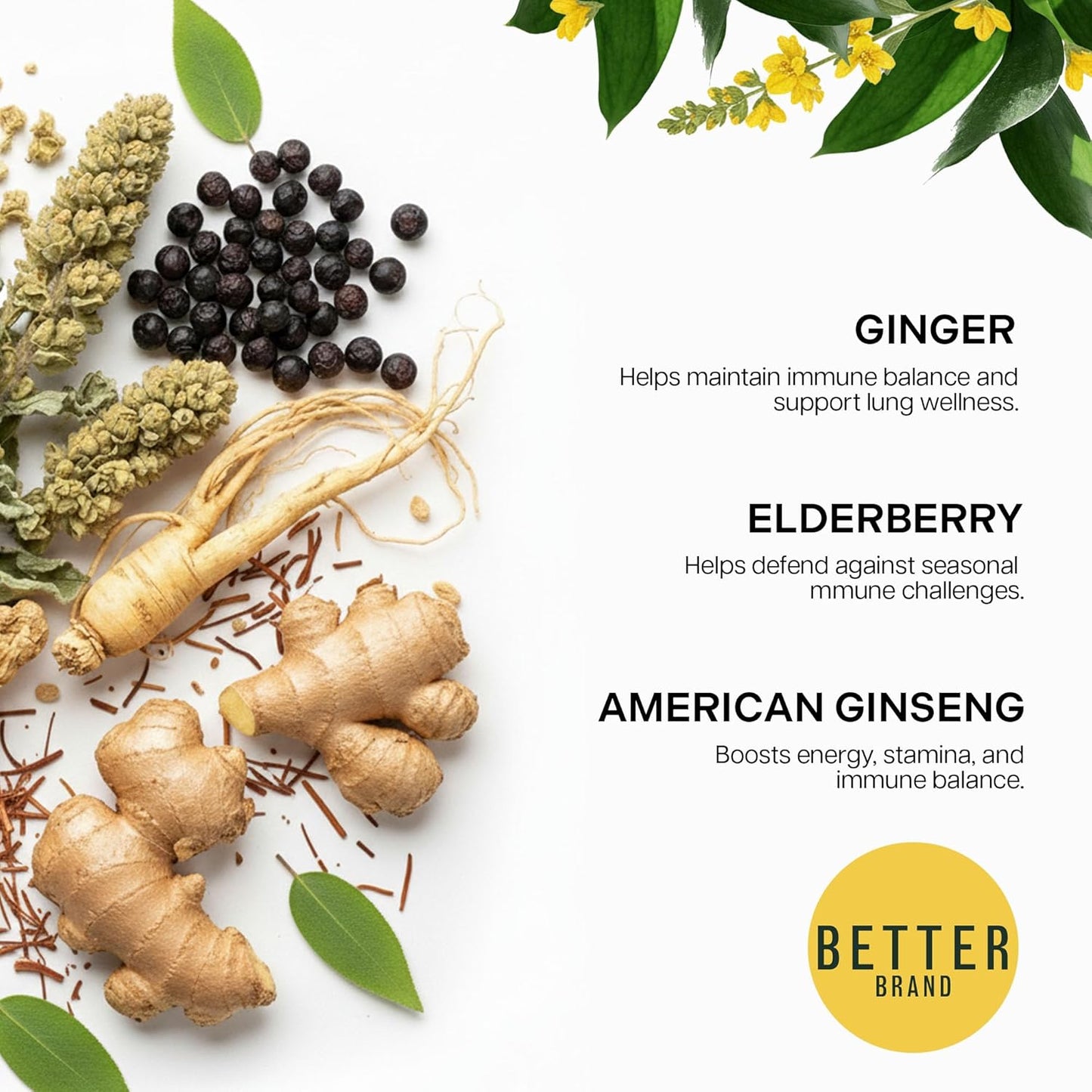 Mullein Tea Bags for Lung Detox - Respiratory Support with Thyme, Elderberry, Ginseng, Ginger, Caffeine Free  - 15 Tea Bags (1PC)