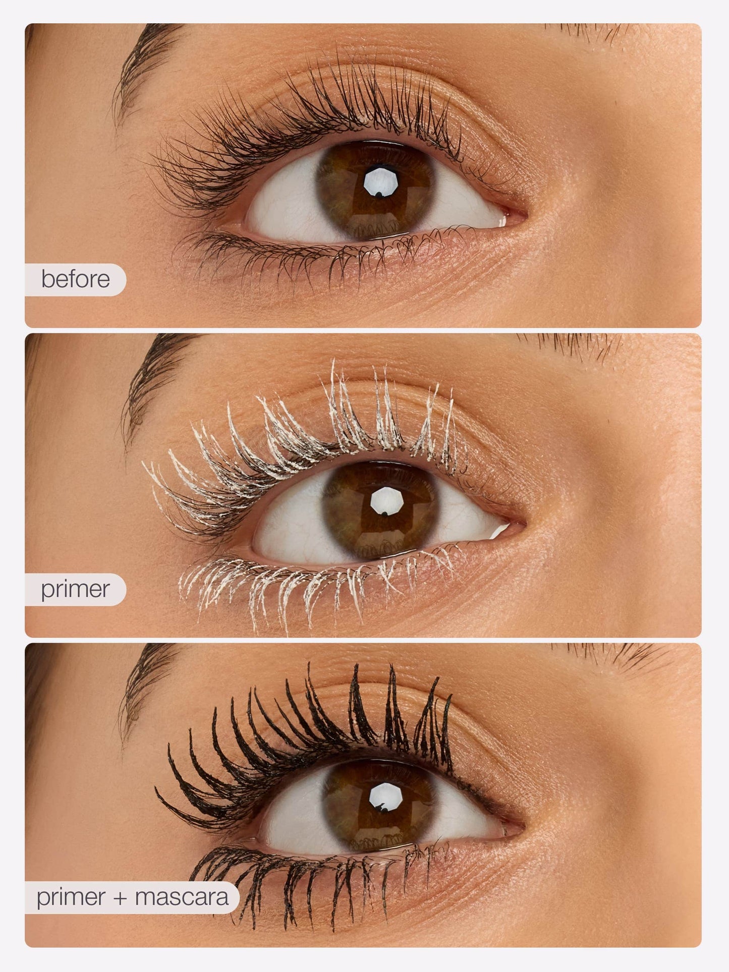 itsmaureenkelly lash cocktail