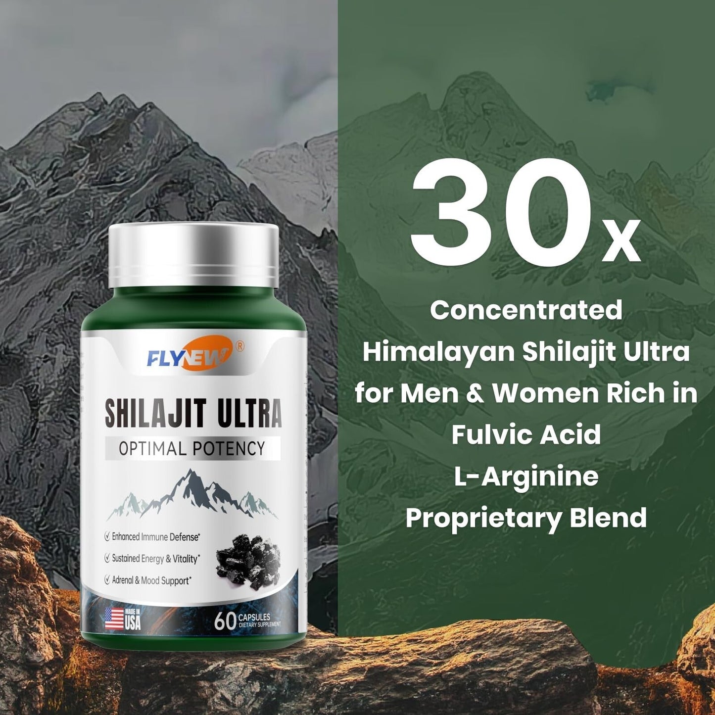 Shilajit for Men & Women with Fulvic Acid & L-Arginine – Himalayan Shilajit Capsules for Energy, Stamina & Immune Support, Non-GMO, Made in USA, 60 Ct (1,300mg/Serving)